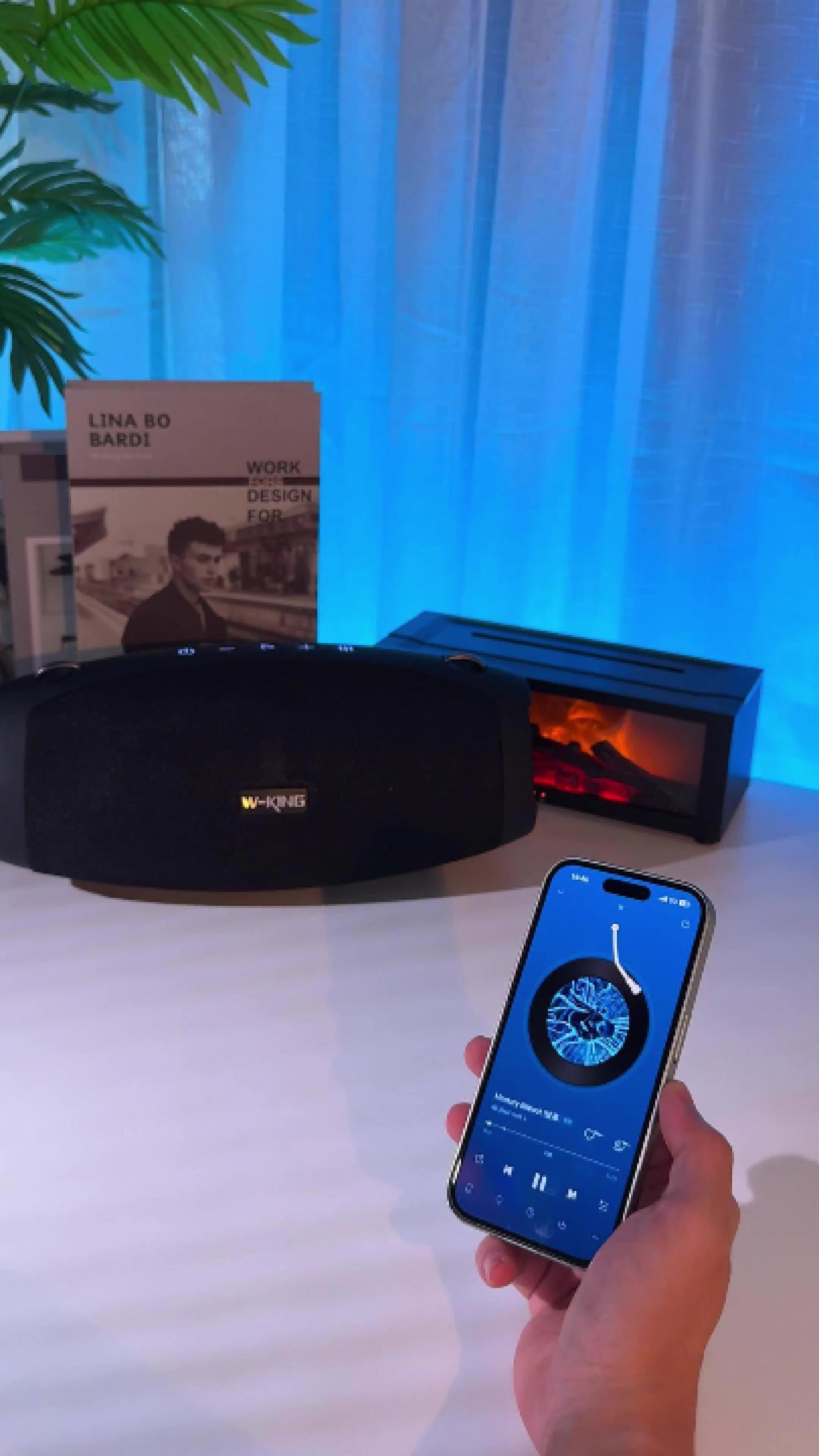 Портативная колонка W-King X10 черный