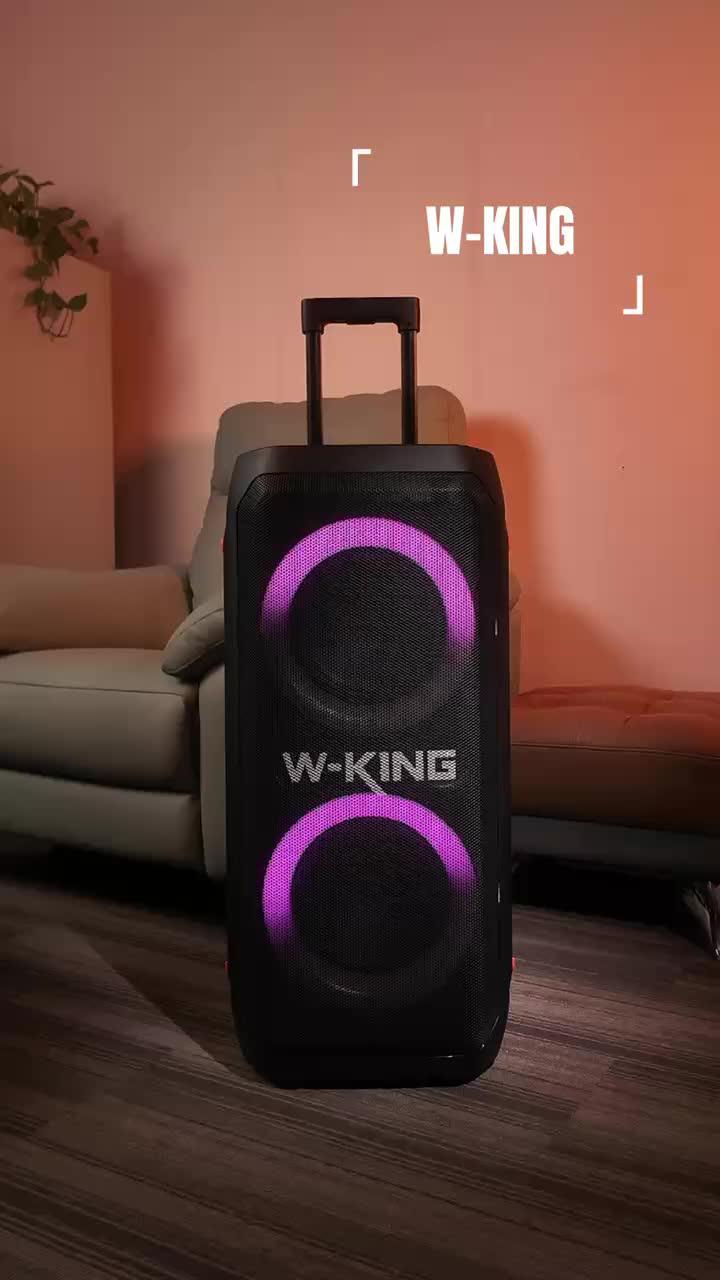 Пopтaтивнaя Вluеtoоth-колонка W-Кing T12